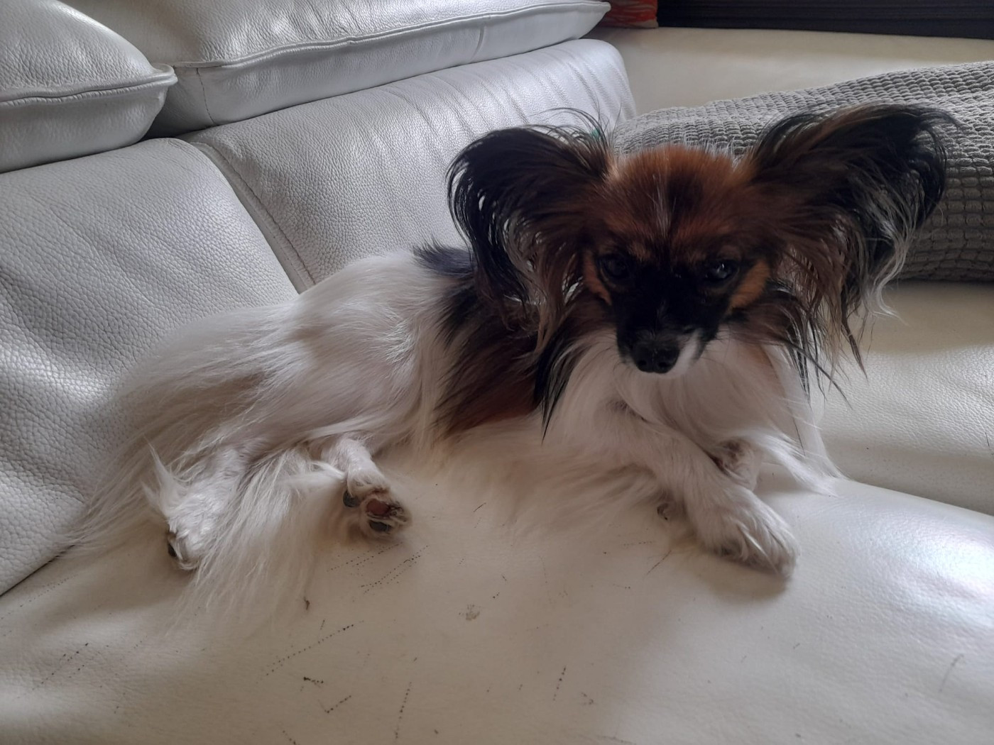 Taya-rayssa-isidora au Royaume D'ultra